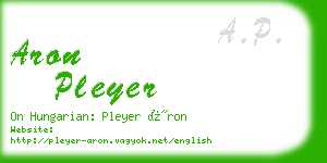 aron pleyer business card